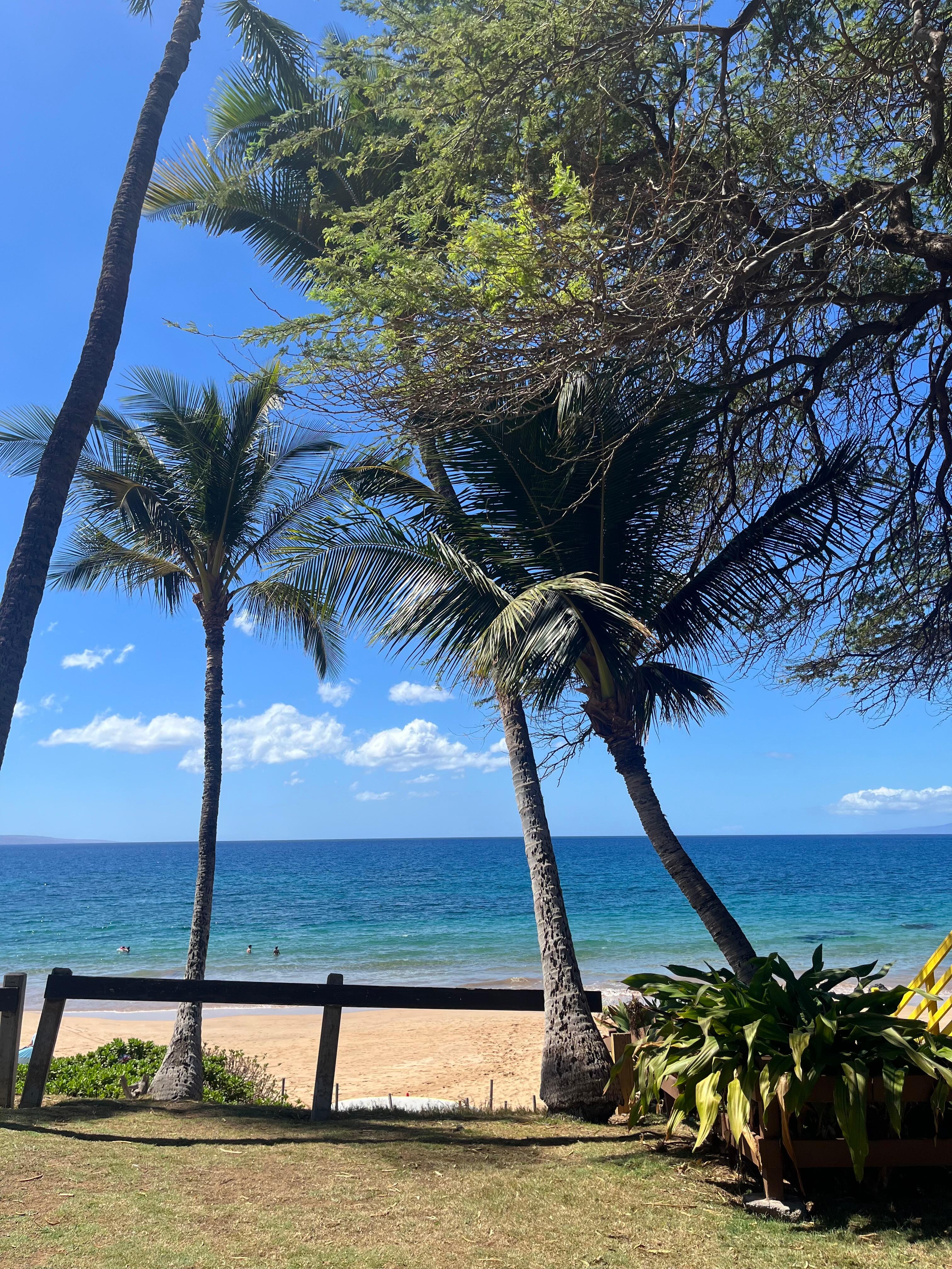 View of beach from street.  4 minute walk