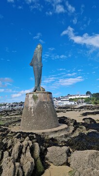 Walk to Tristan Island Subject to tide, was brilliant