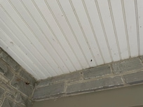 Cobwebs, dead bugs on all the balconies.