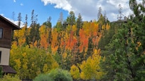 Fall color in Rocky Mountain National Park