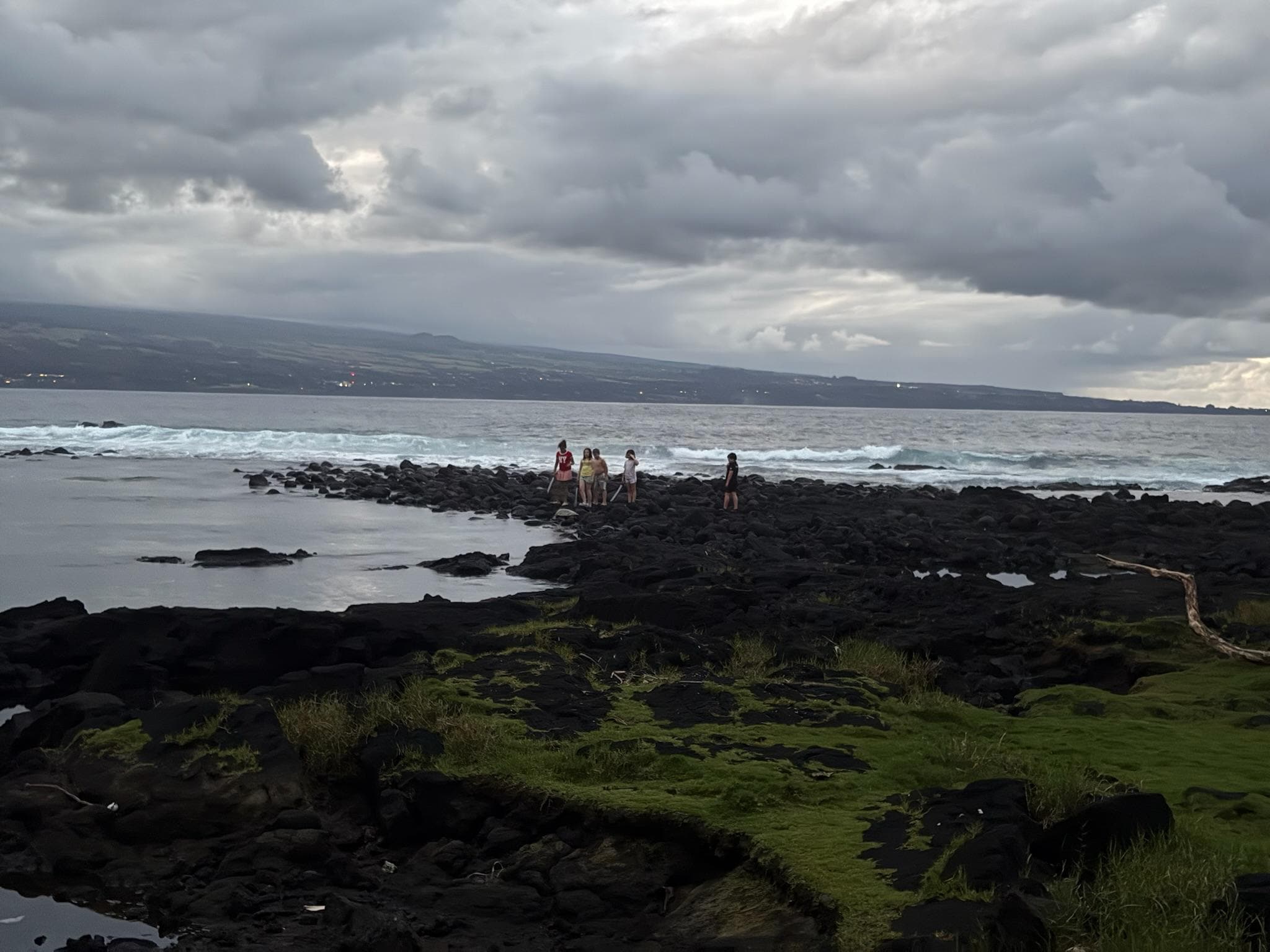 Kids looking for turtles across the street.