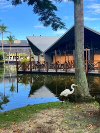 Location of Indian and Italian restaurants