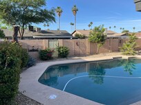 Morning poolside.