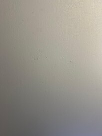 Stains on the ceiling
