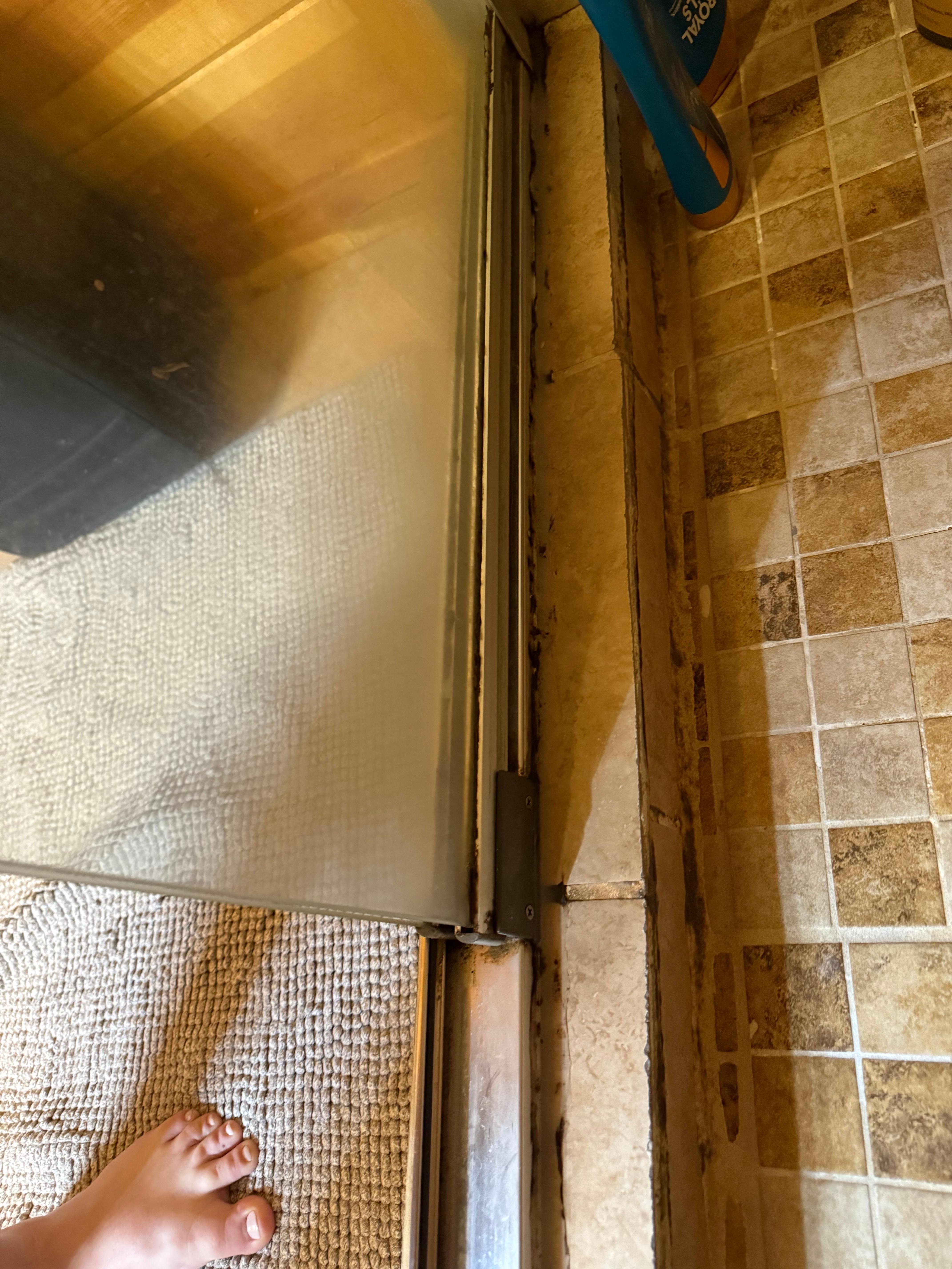 Master bathroom shower