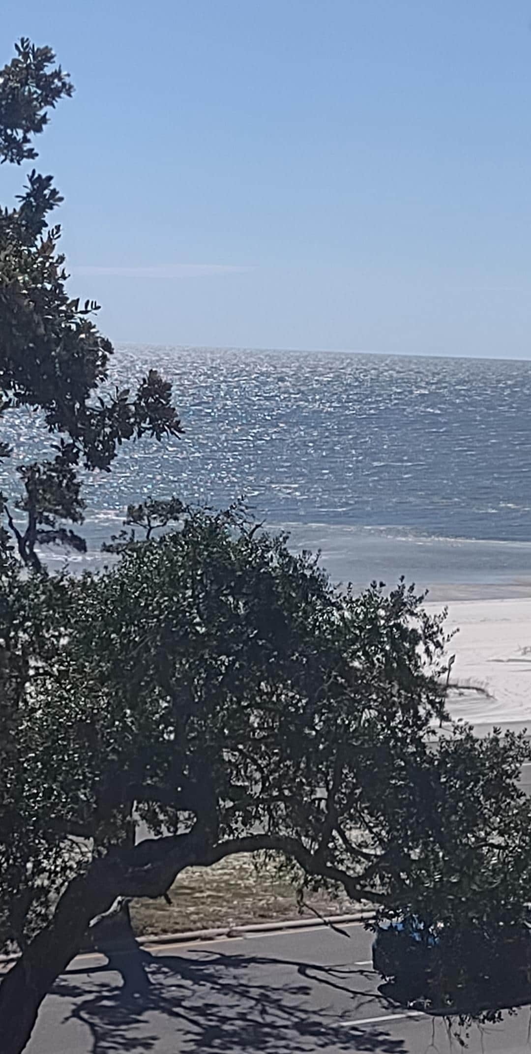 From our 4th floor window