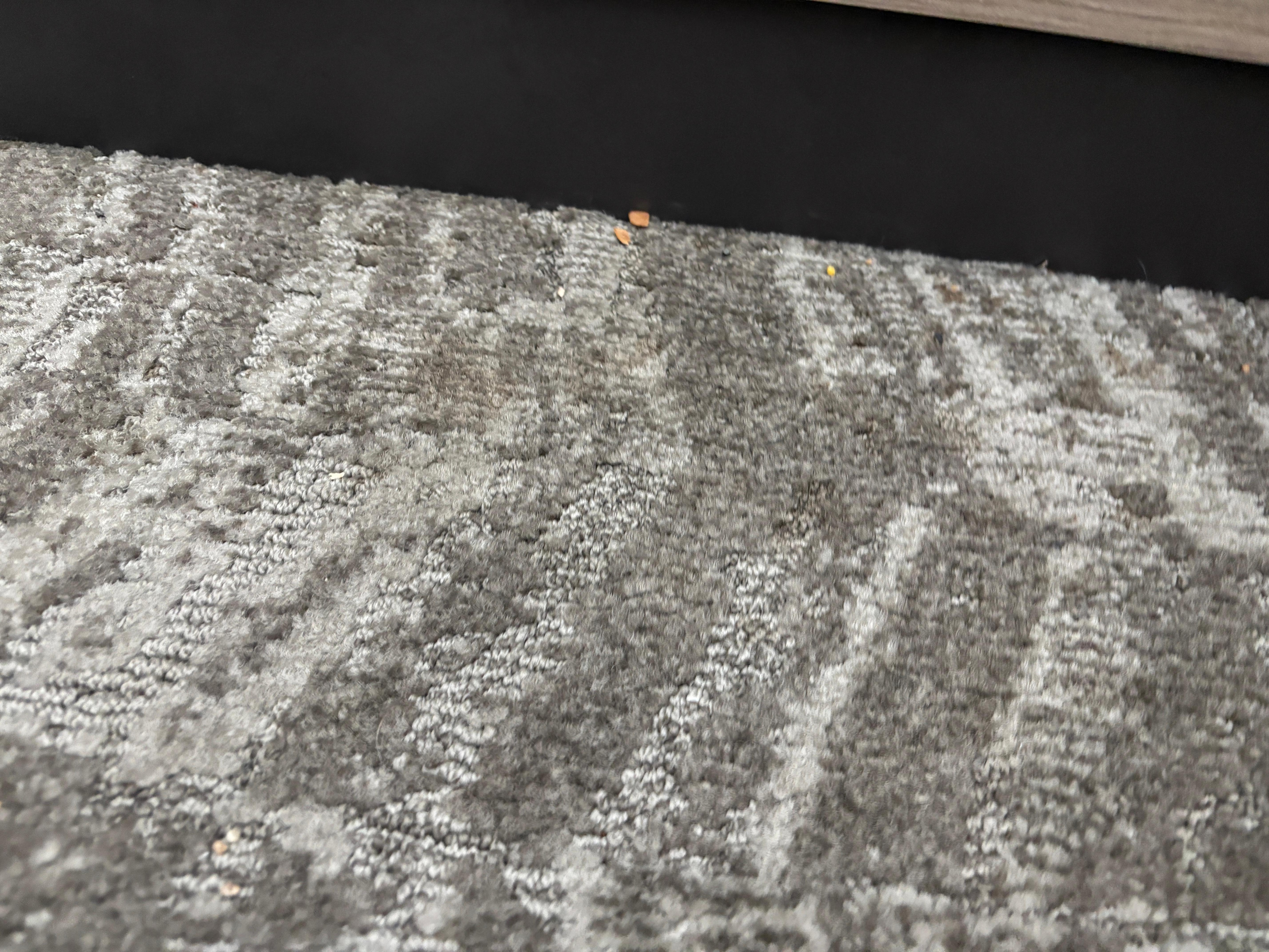 Crumbs under the bed. This was everywhere and they were large and visible, like cookie chunks. 