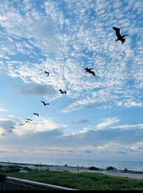 Taken on upstairs deck. The pelicans flew over everyday.