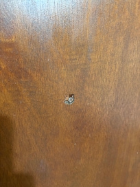 Hole in door