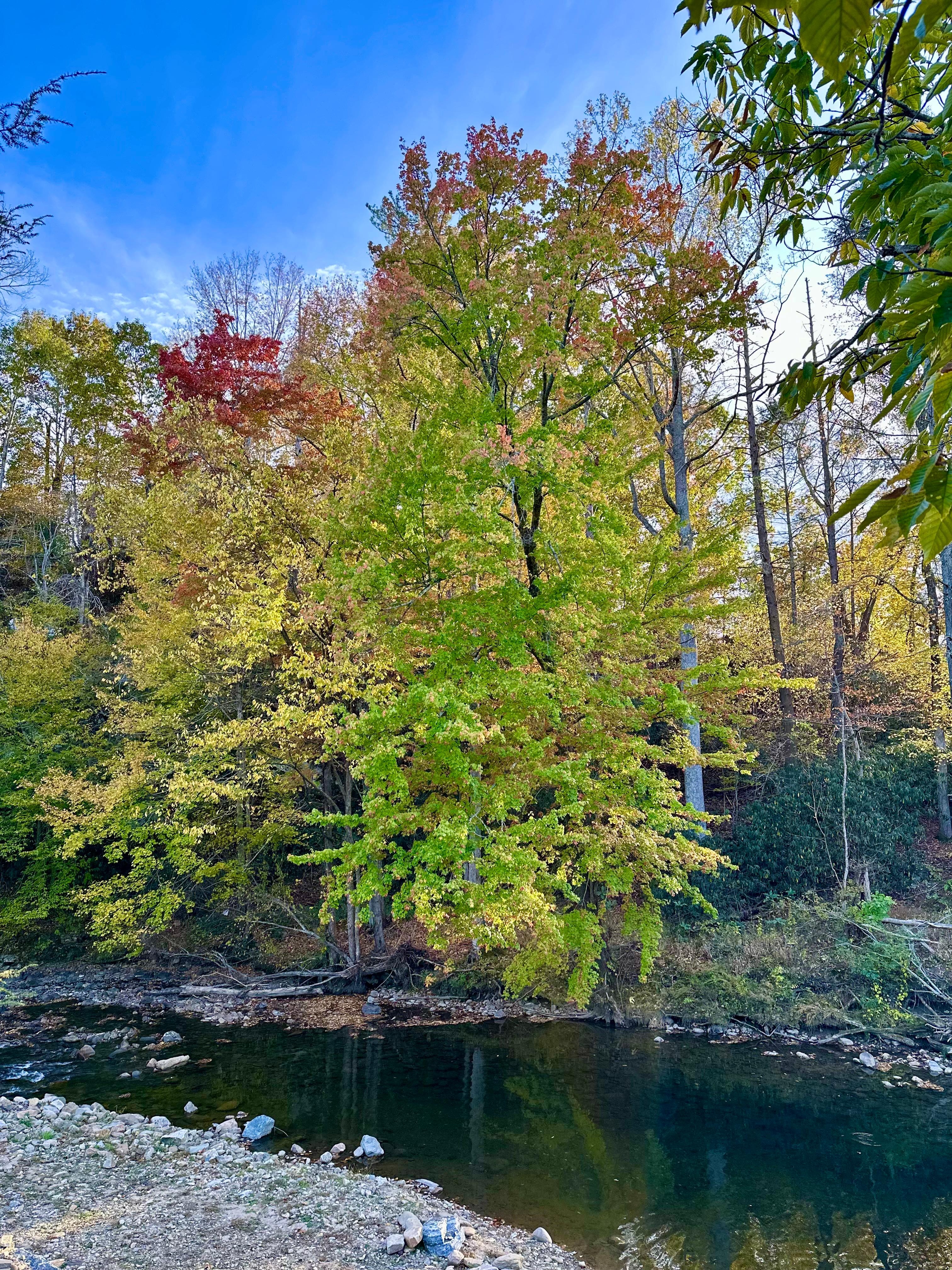 Late October view from the deck. 