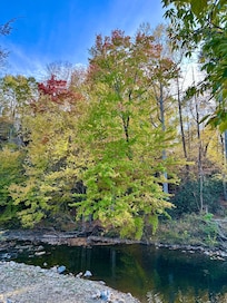 Late October view from the deck.
