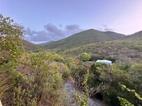 View from back porch