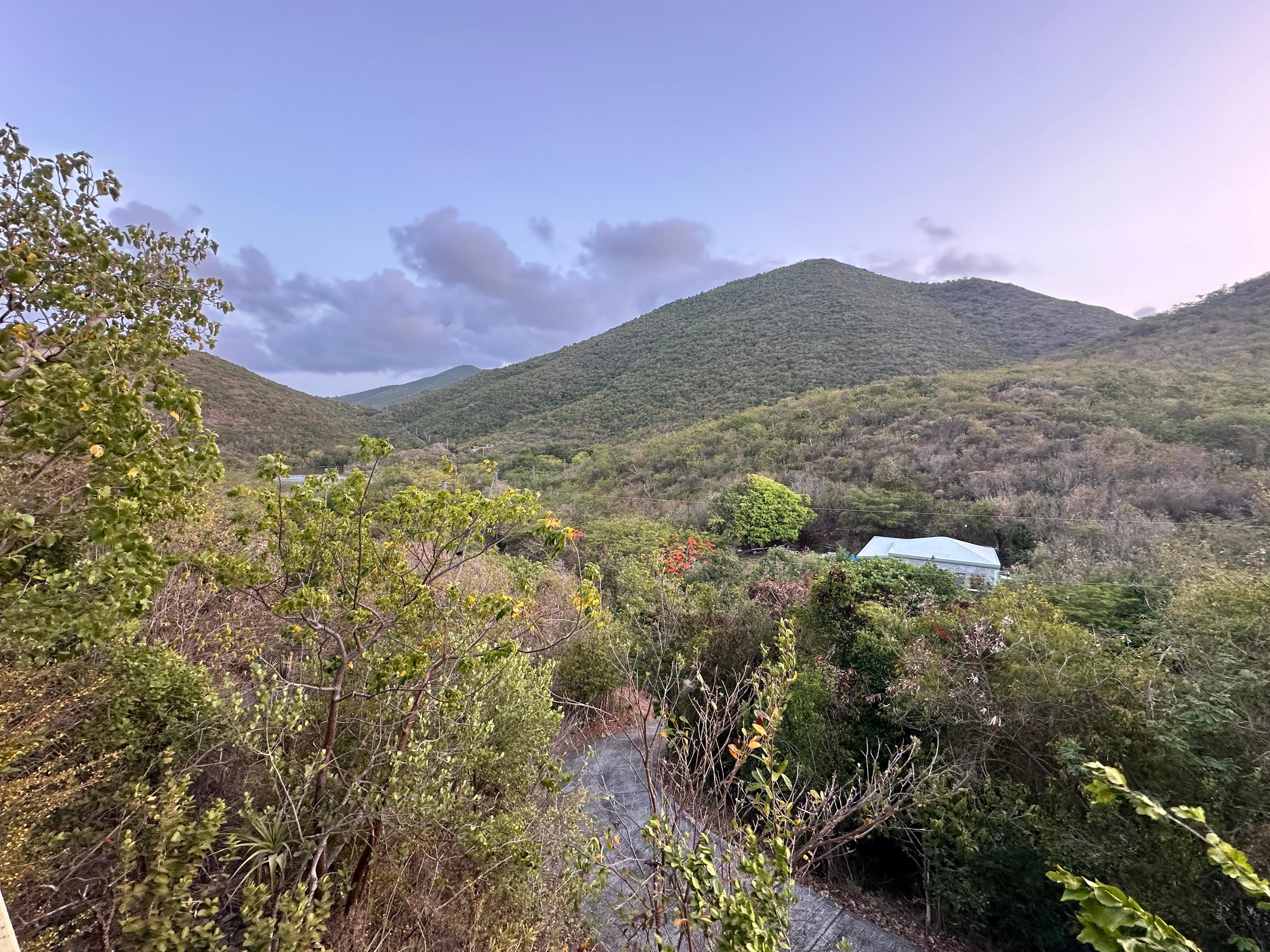 View from back porch