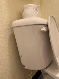 Toilet embarrado de popo