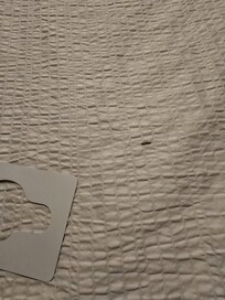 The bug on the bed.
