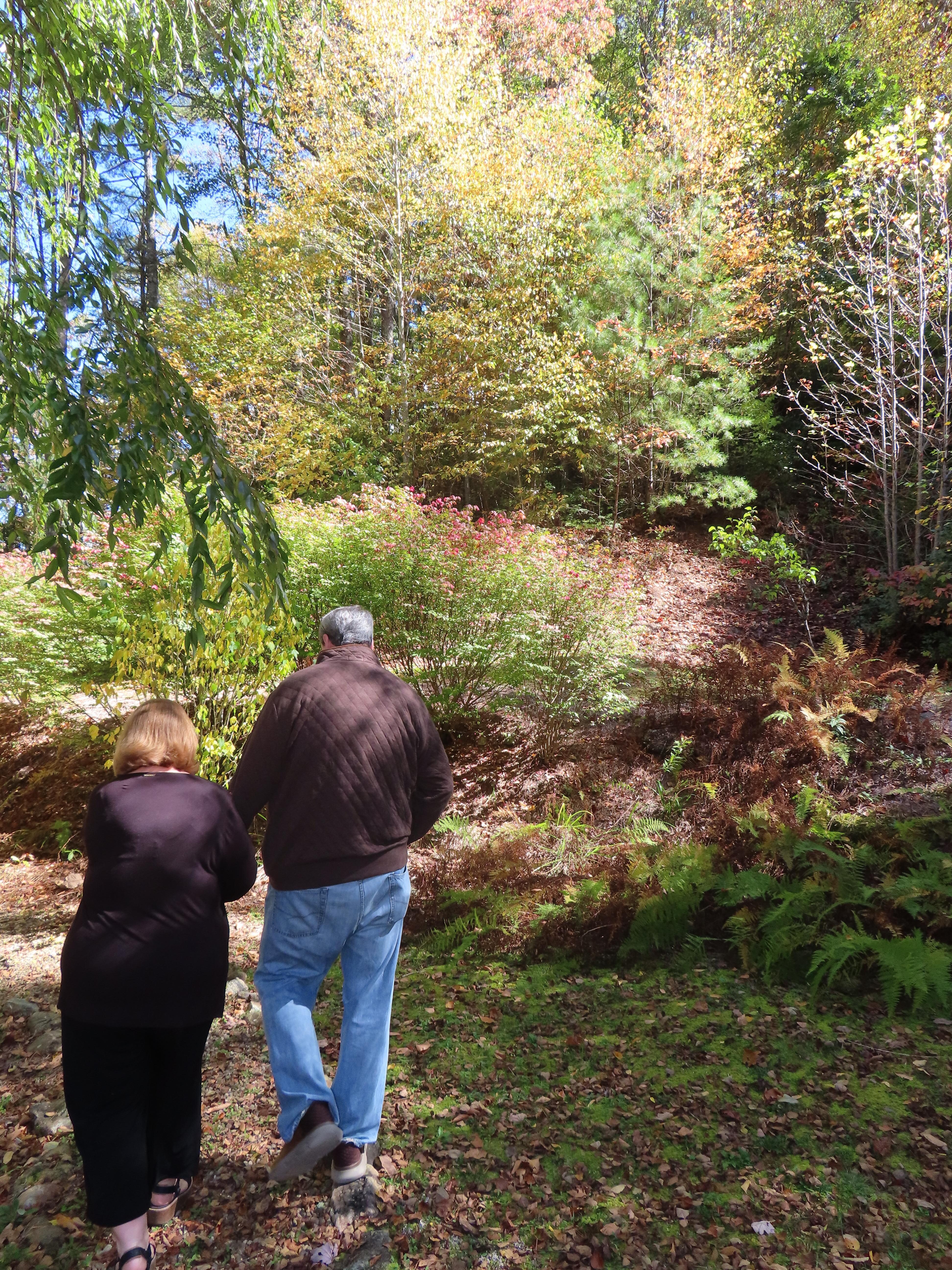 Walking in the backyard, heading over toward the bench…