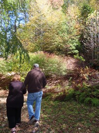 Walking in the backyard, heading over toward the benchâŠ