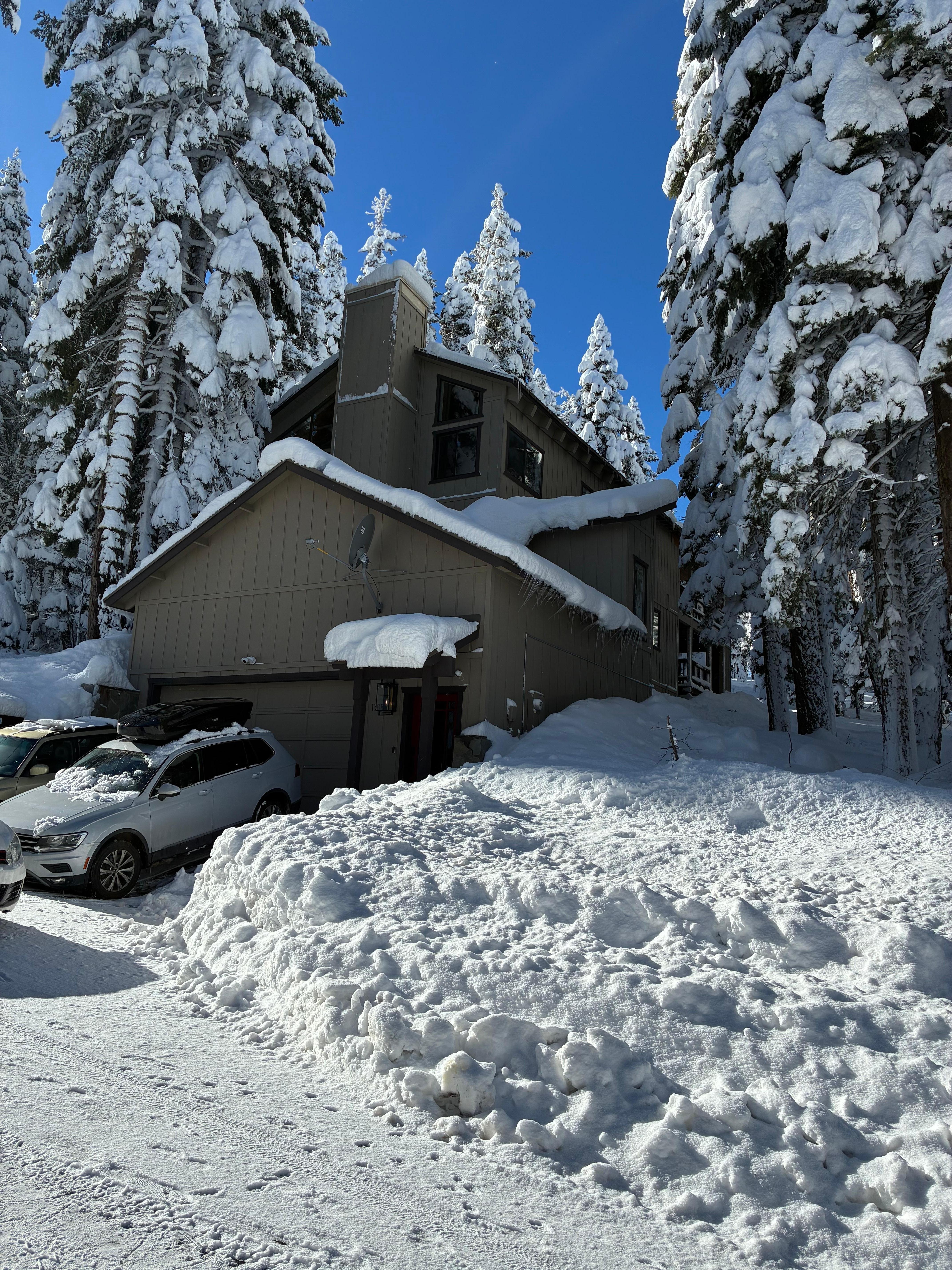 Looking at the Pinecrest while strolling the friendly neighborhood! 
