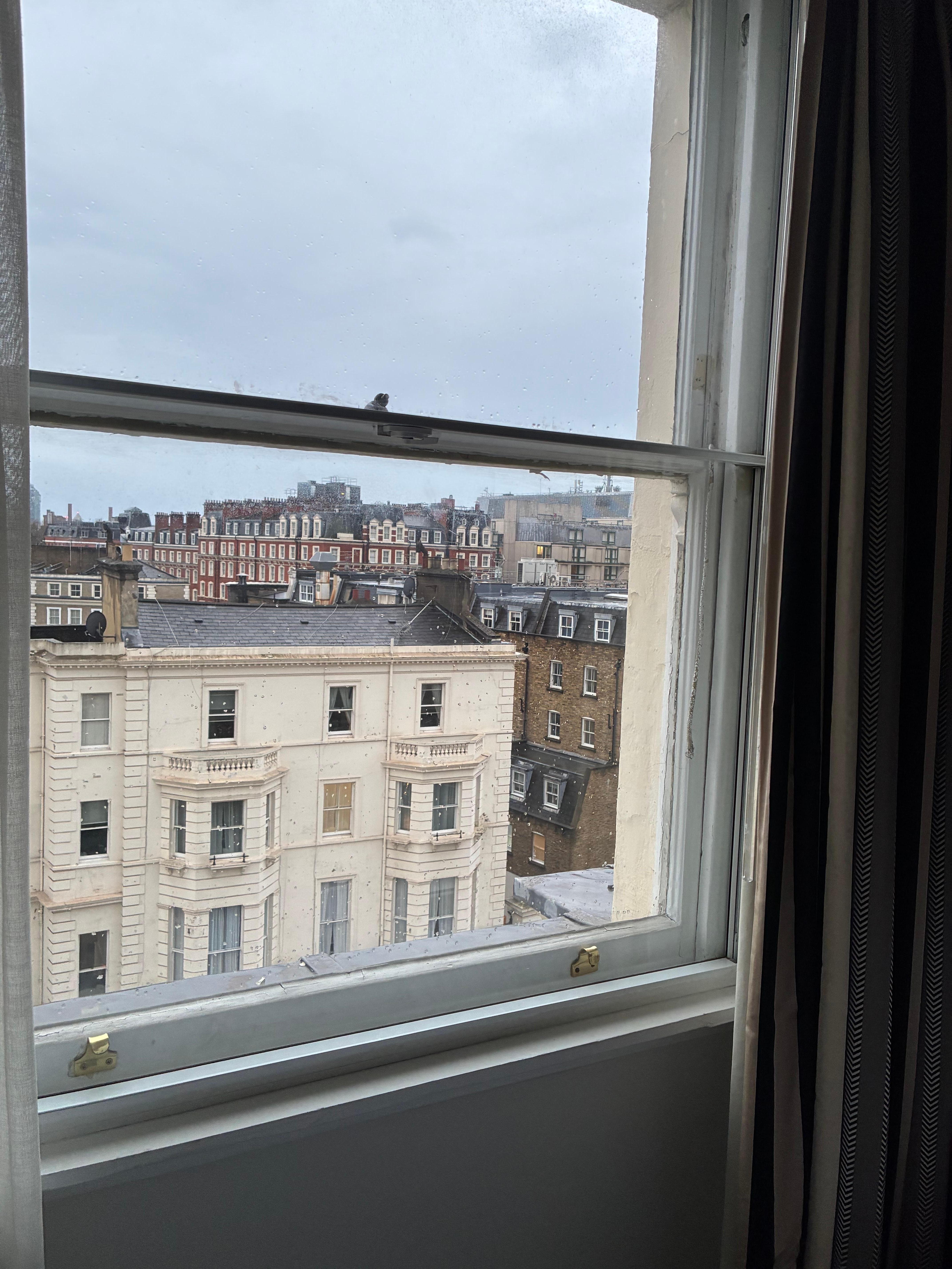 Single pane window internal of sash and case. Not sound proof or even cold proof