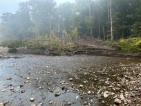 Little River beside walk path