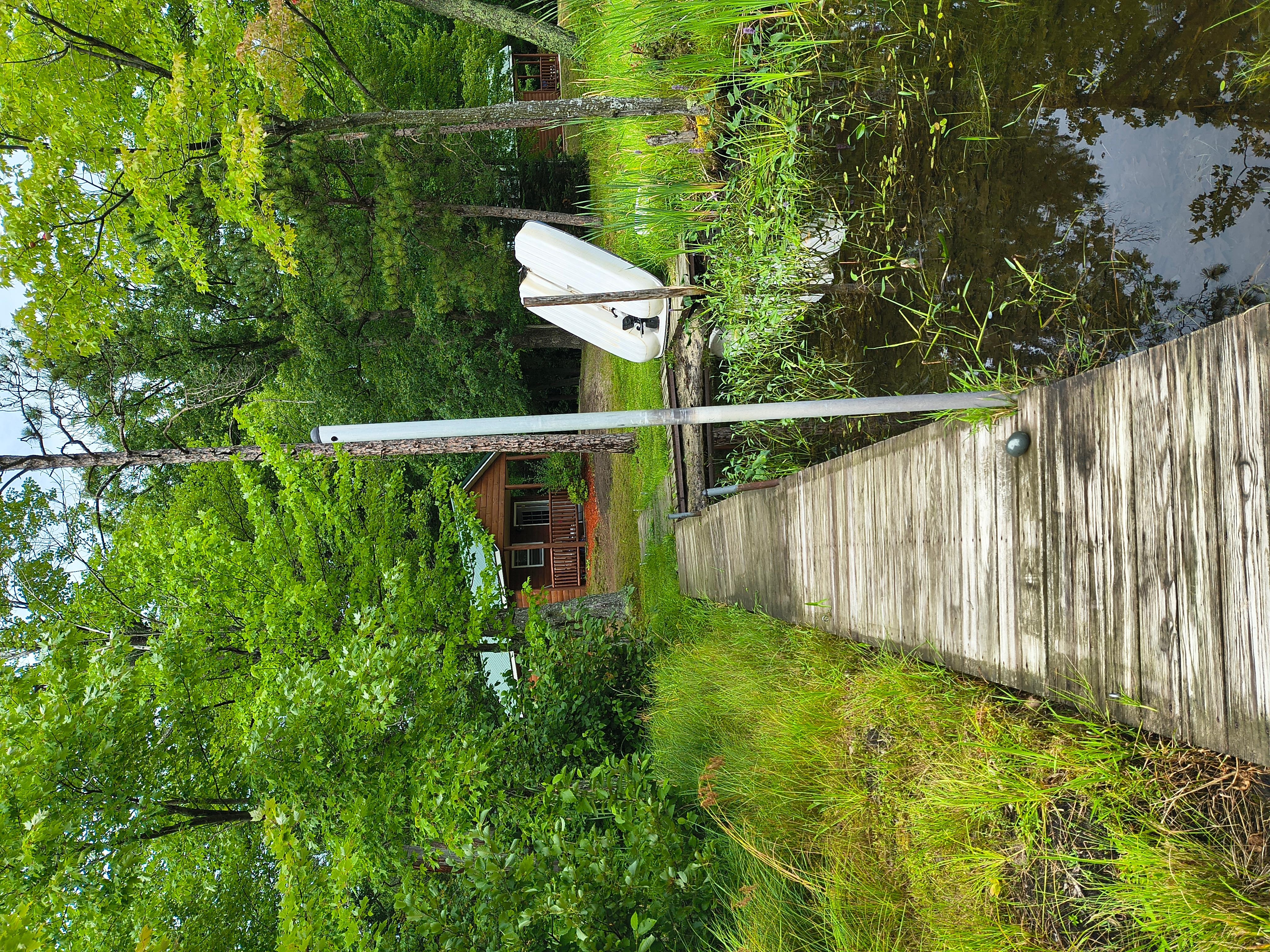 Perfectly secluded wooded Cabin 😍