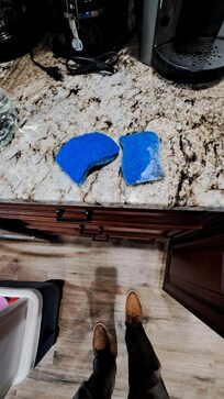 Moldy used Kitchen Sponges