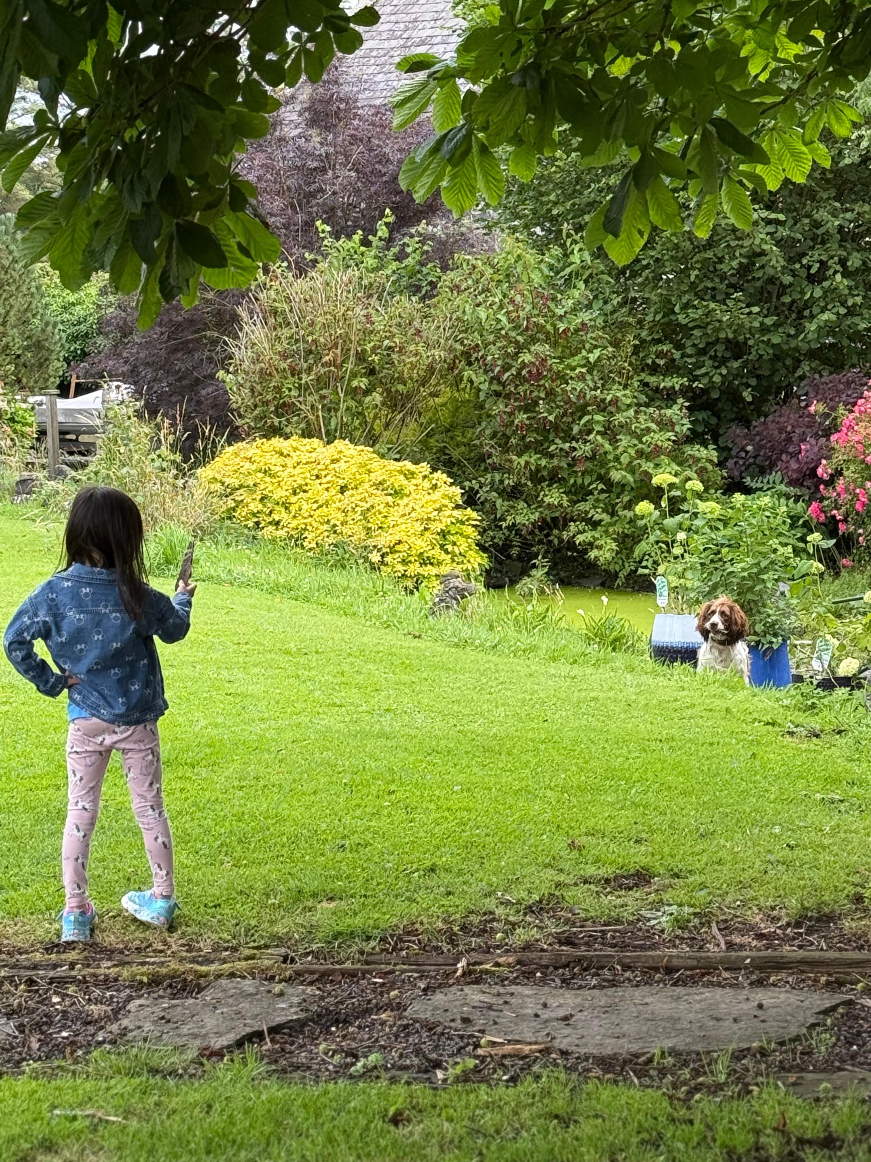 The beautiful garden our the back which the children loved and spent most of their time in long summer days. 