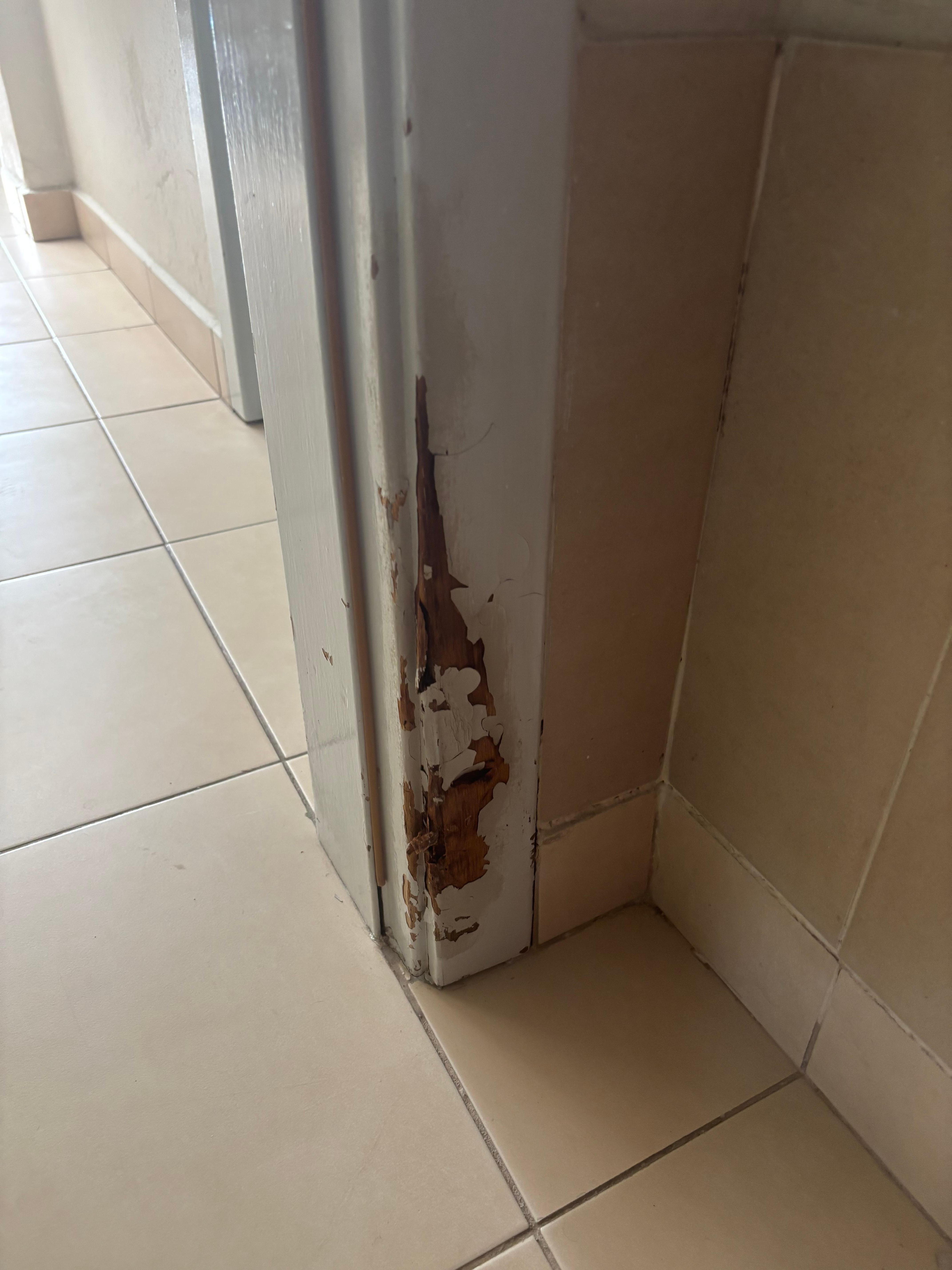 Water damage throughout the property 