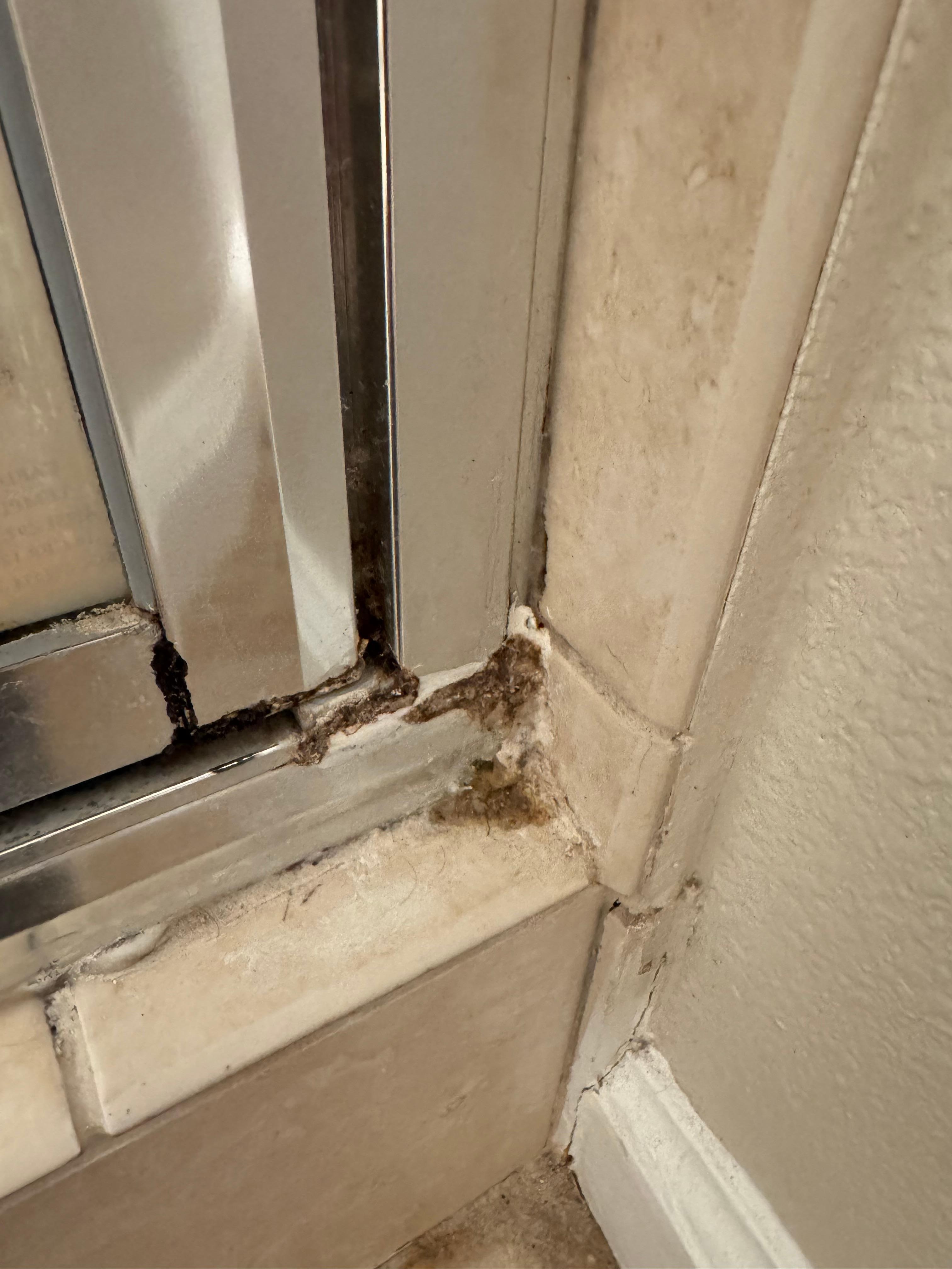 Mold along old shower 