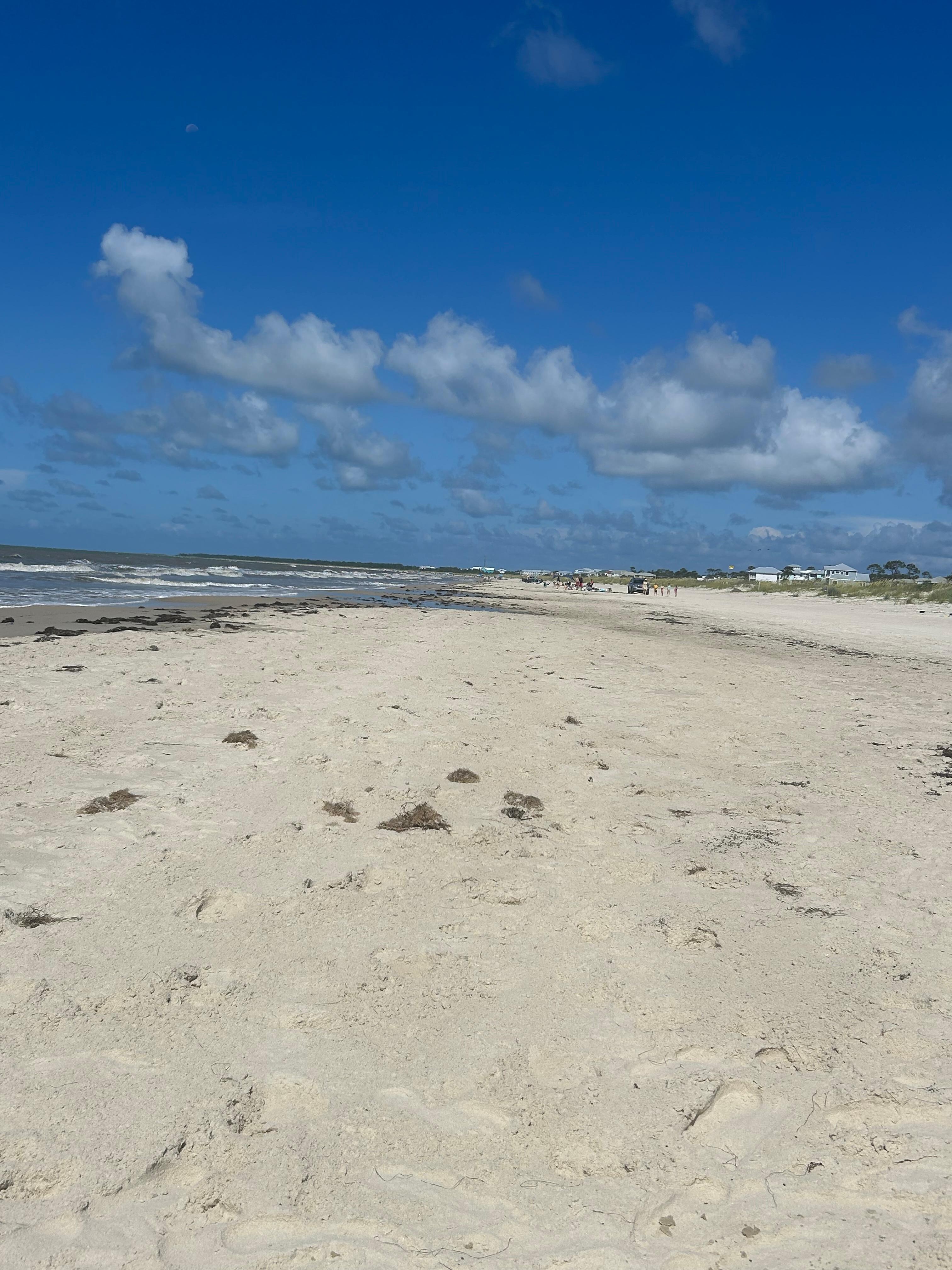 Lots of beach area 