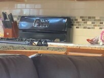 Mouse on counter