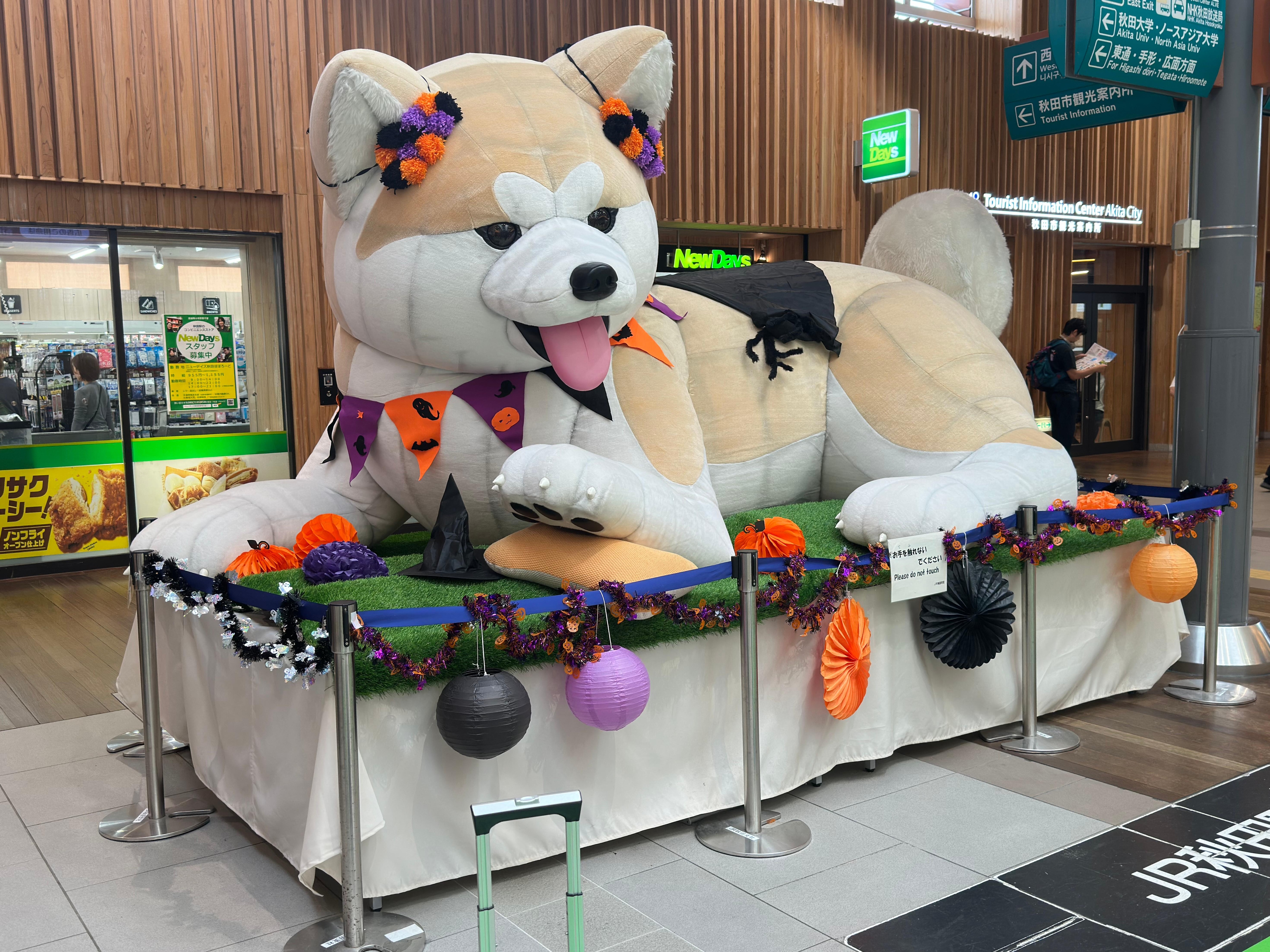 Akita station 🚉 doggy 