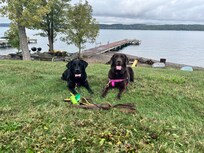 Labs at Cayuga Lake Painted Porch dock