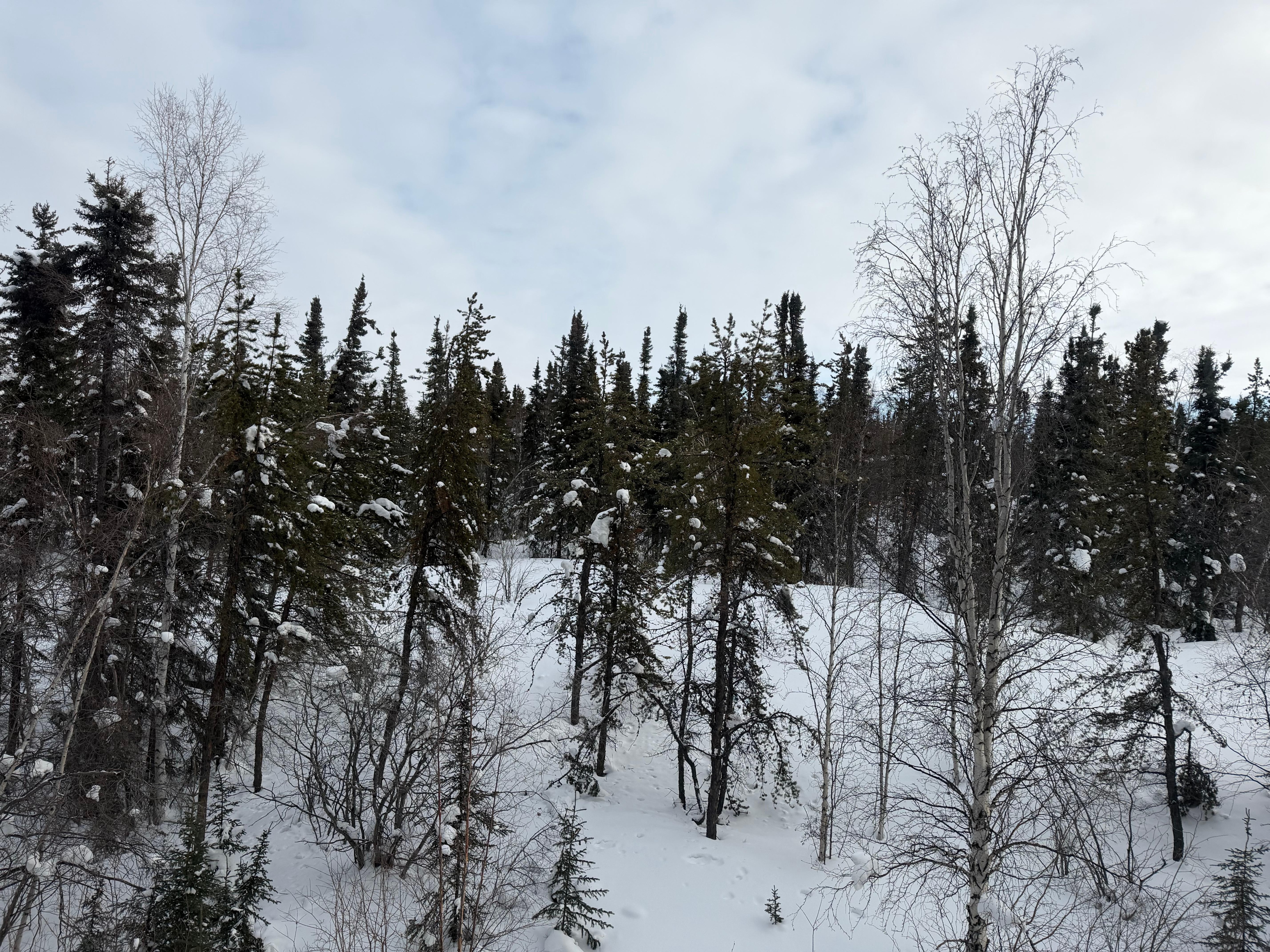 The view out of our room window.