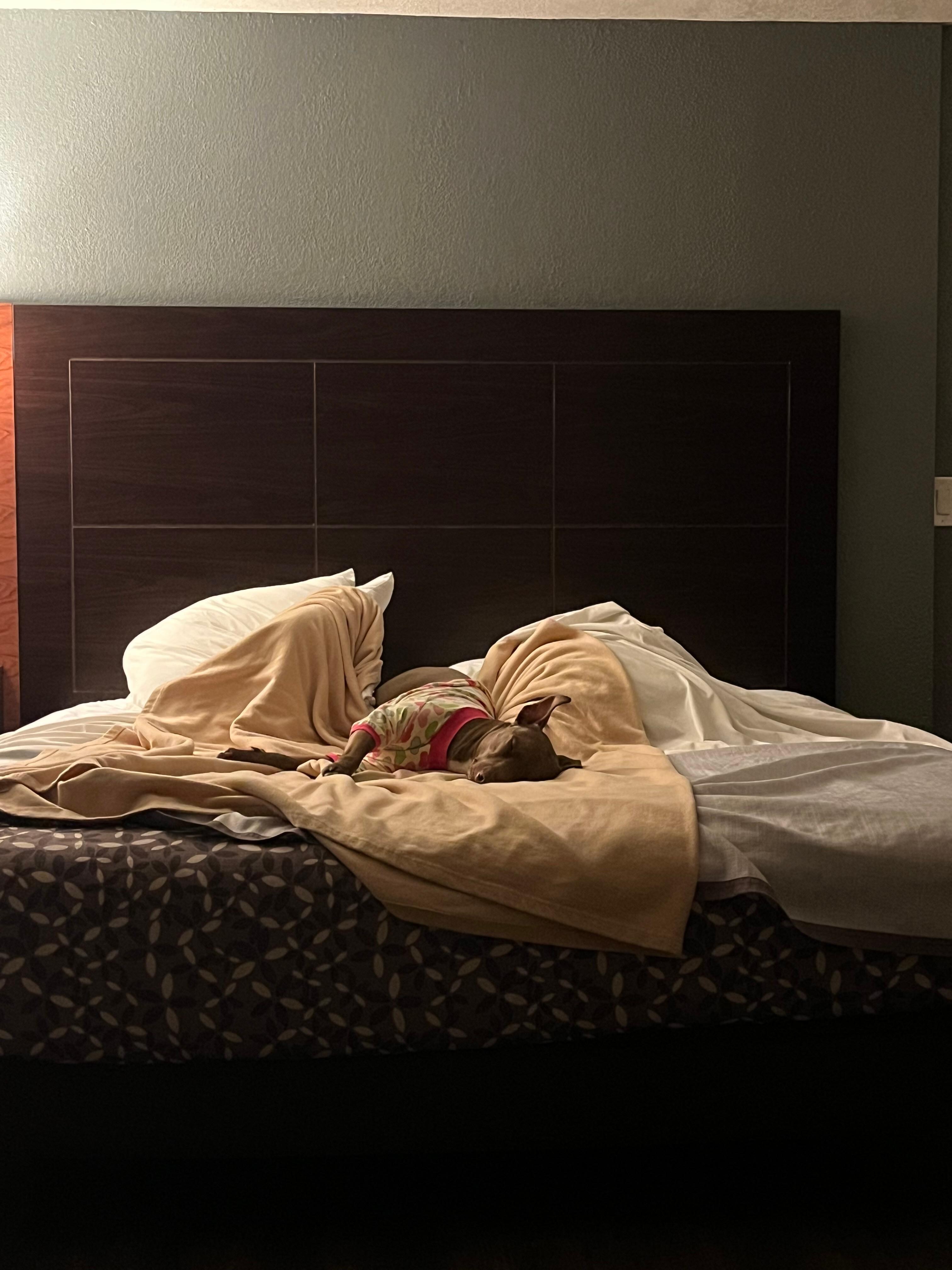 Bed was comfy. 