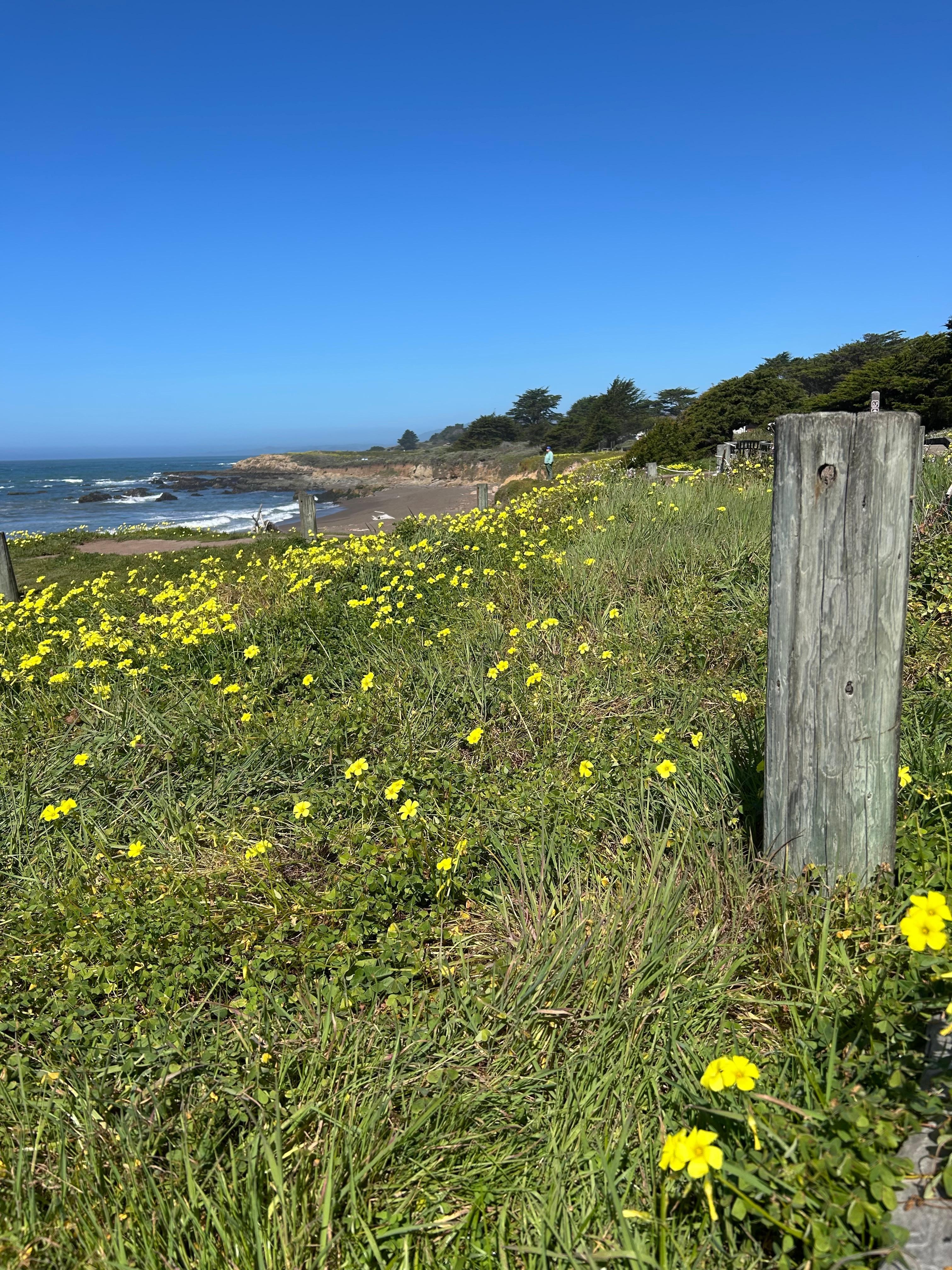 Pretty hillside and beach below