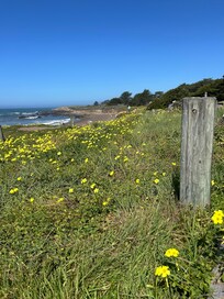Pretty hillside and beach below
