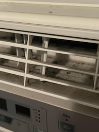 Moldy AC