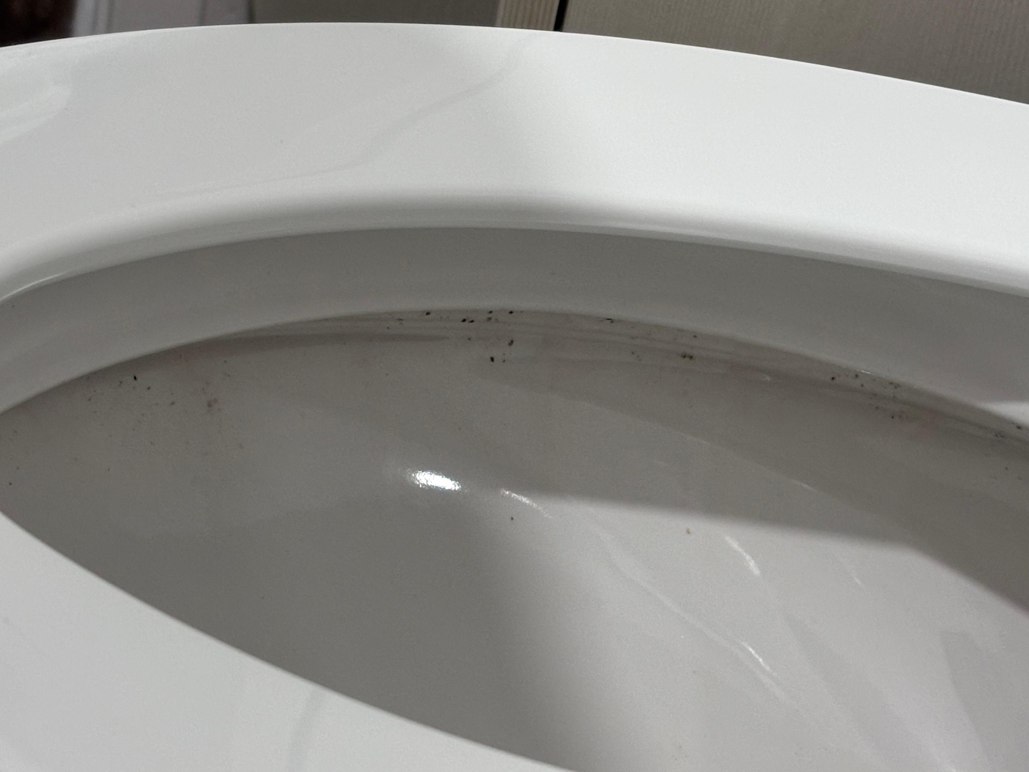 Dirty toilet on arrival