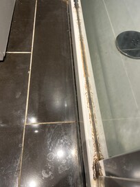 Mold all around shower bottem