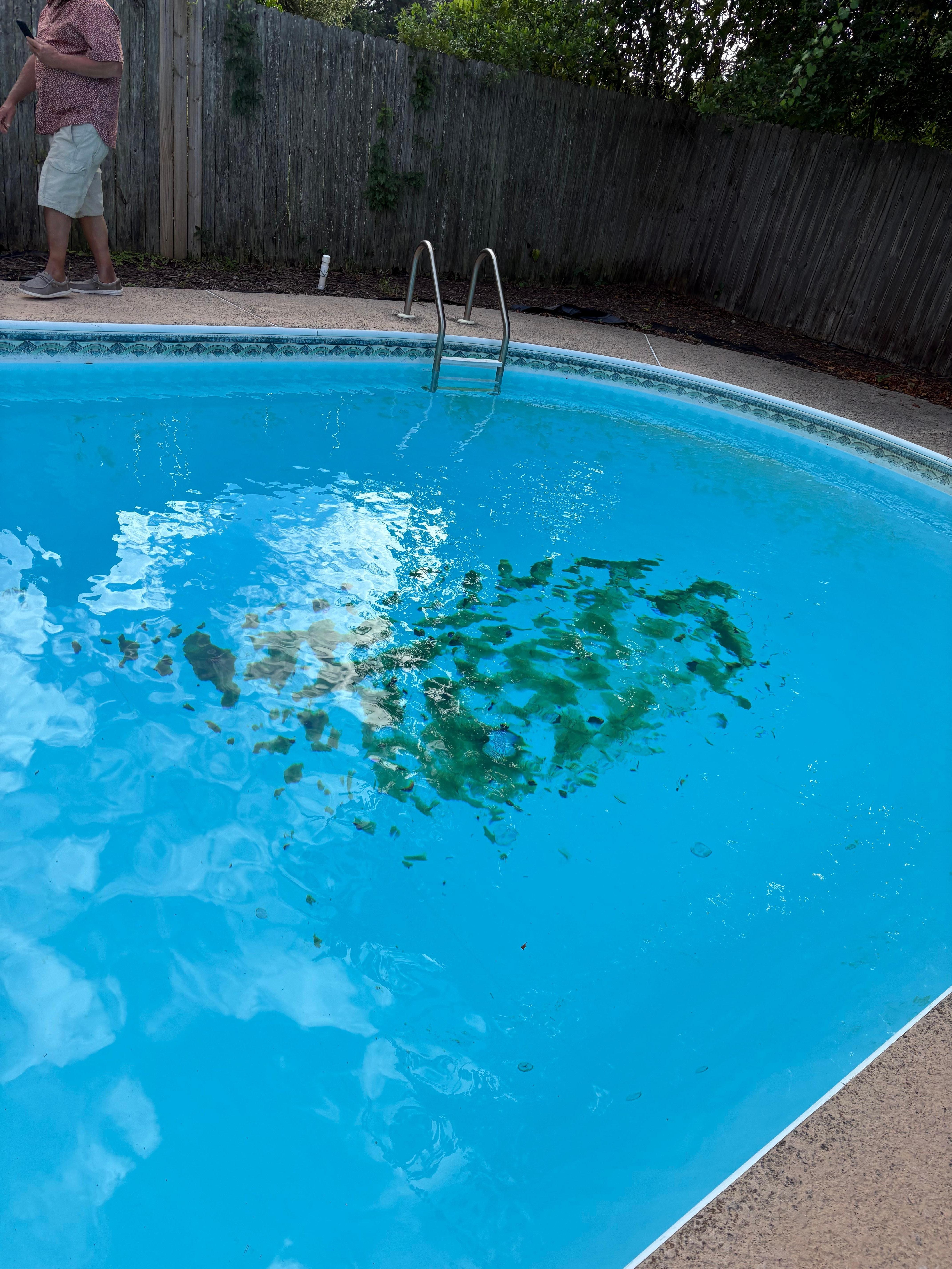 Clean pool we arrived on Saturday  pool was CLEANED ON WEDNESDAY!!!