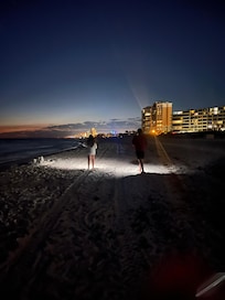 Beach walk with family