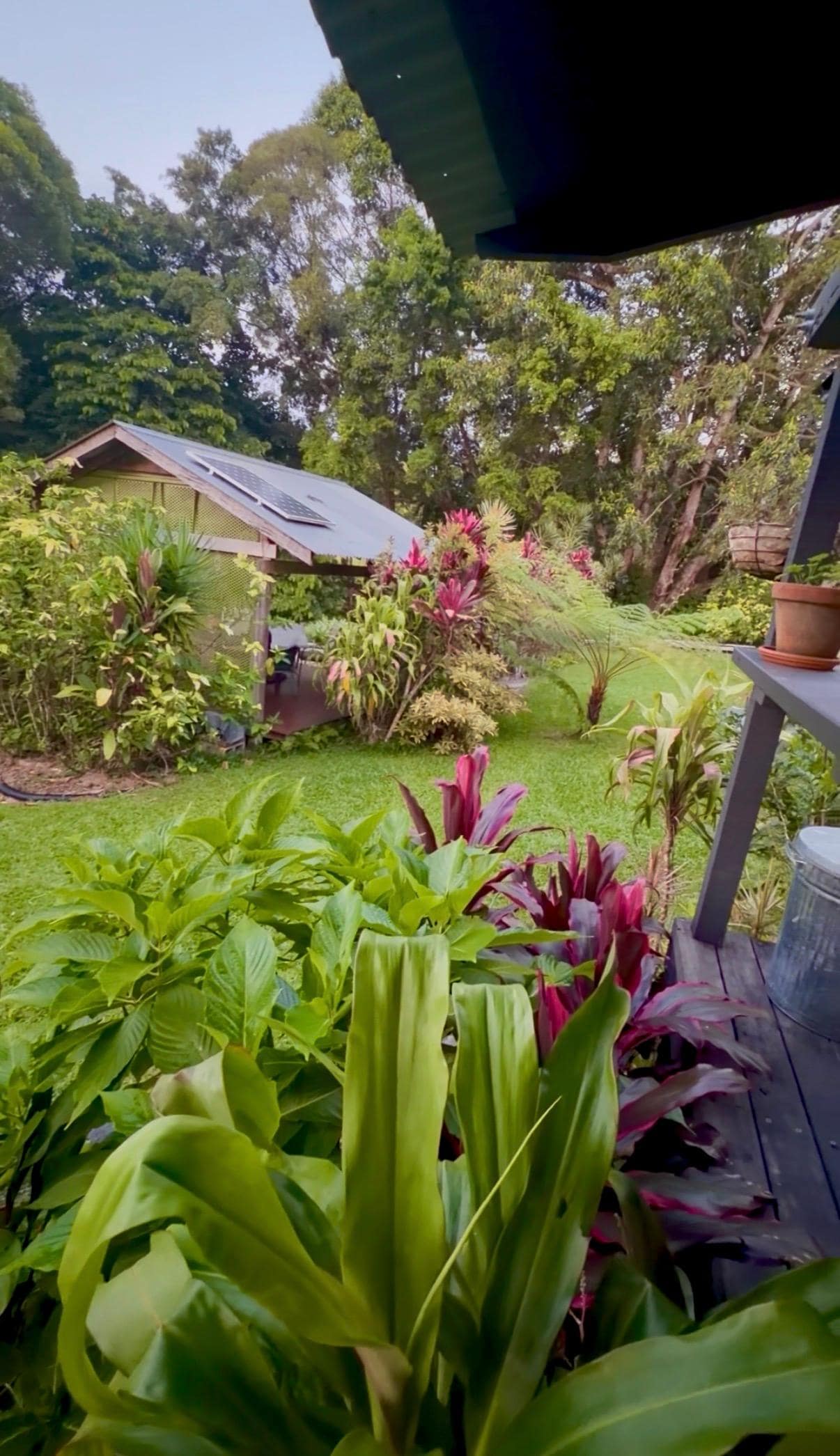 Beautiful property looking off the patio. 