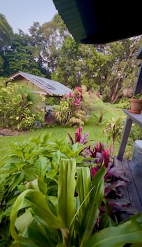 Beautiful property looking off the patio.