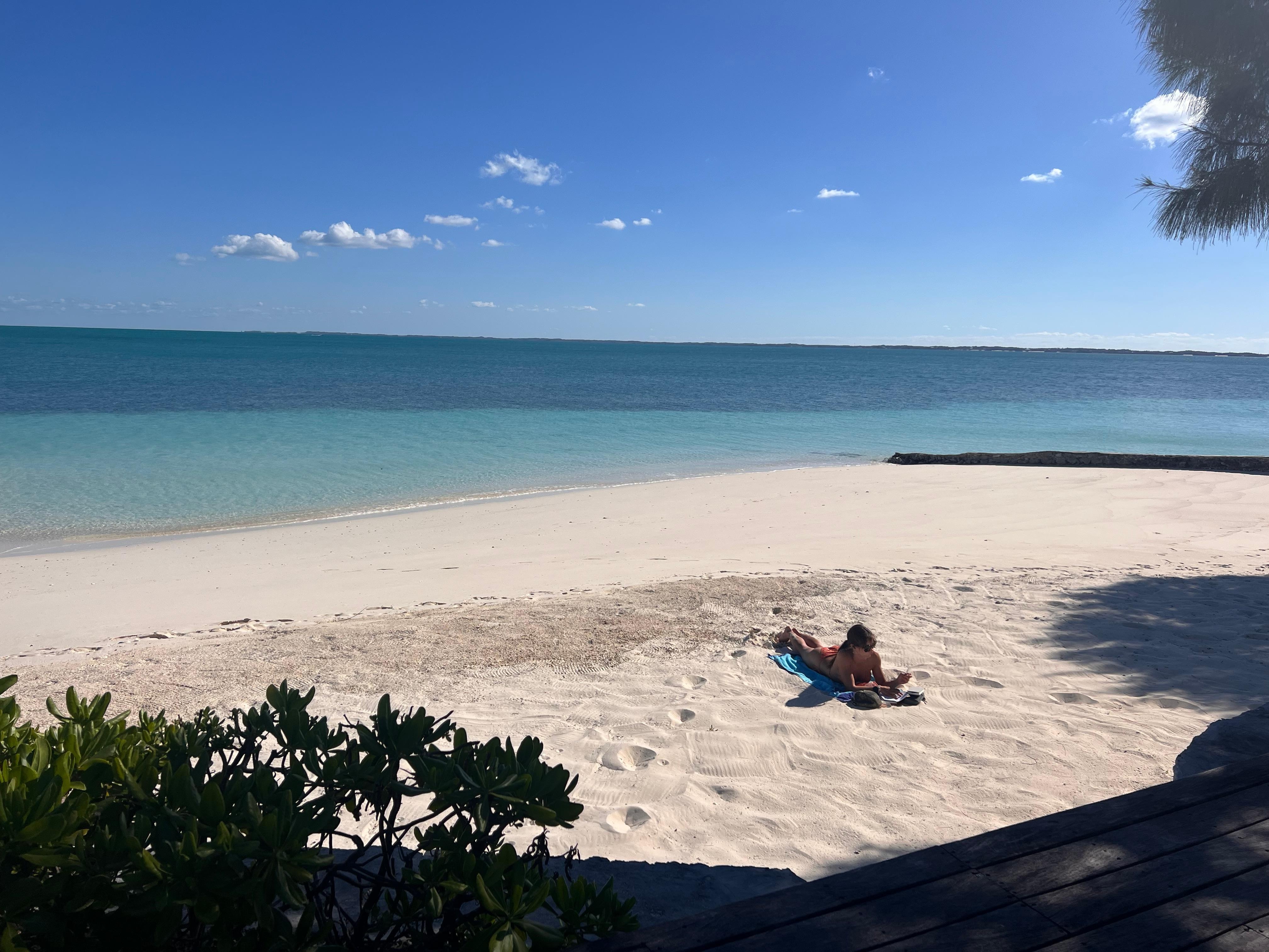 Reading and relaxation!