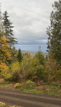 Fall view
