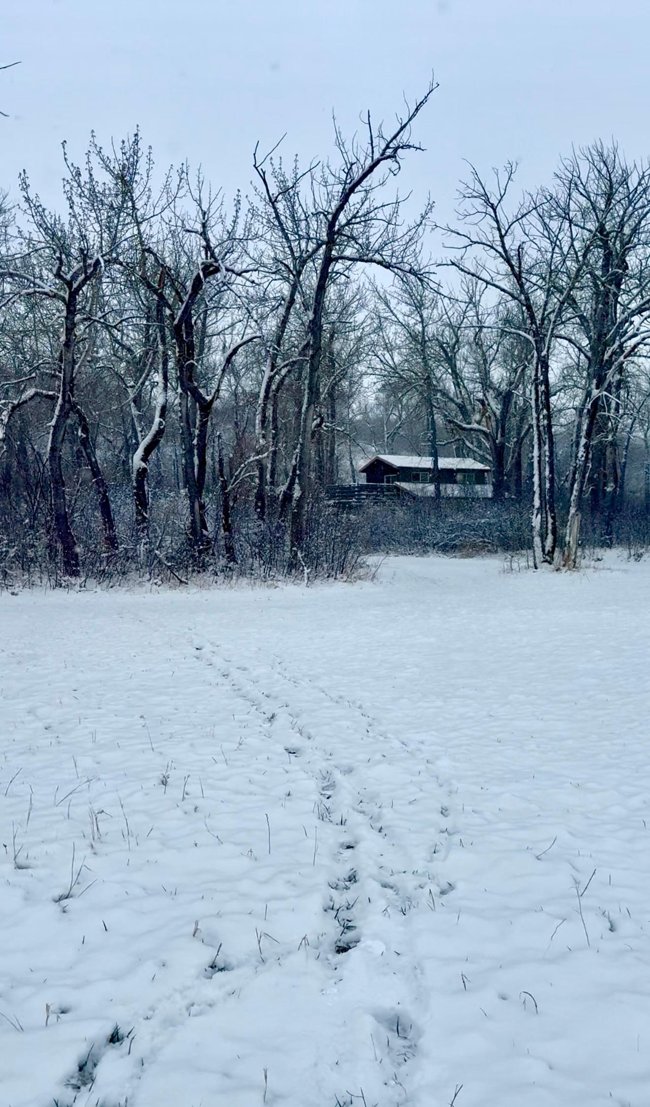 Winter wonderland ❄️