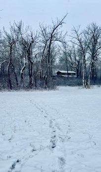 Winter wonderland ❄️