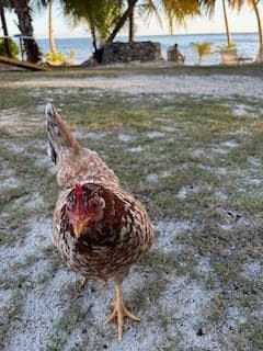 Our friend who we called, Loretta.