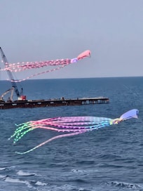 Man flying beautiful lighted kites right outside our balcony.